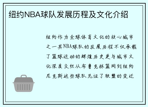 纽约NBA球队发展历程及文化介绍